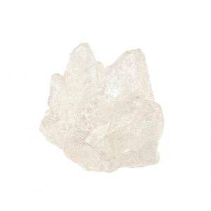 White Molly